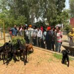 ਬਾਲਦ ਕਲਾਂ ਸਕੂਲ ਦੇ ਵਿਦਿਆਰਥੀਆਂ ਨੂੰ ਸਟੇਸ਼ਨਰੀ ਵੰਡੀ